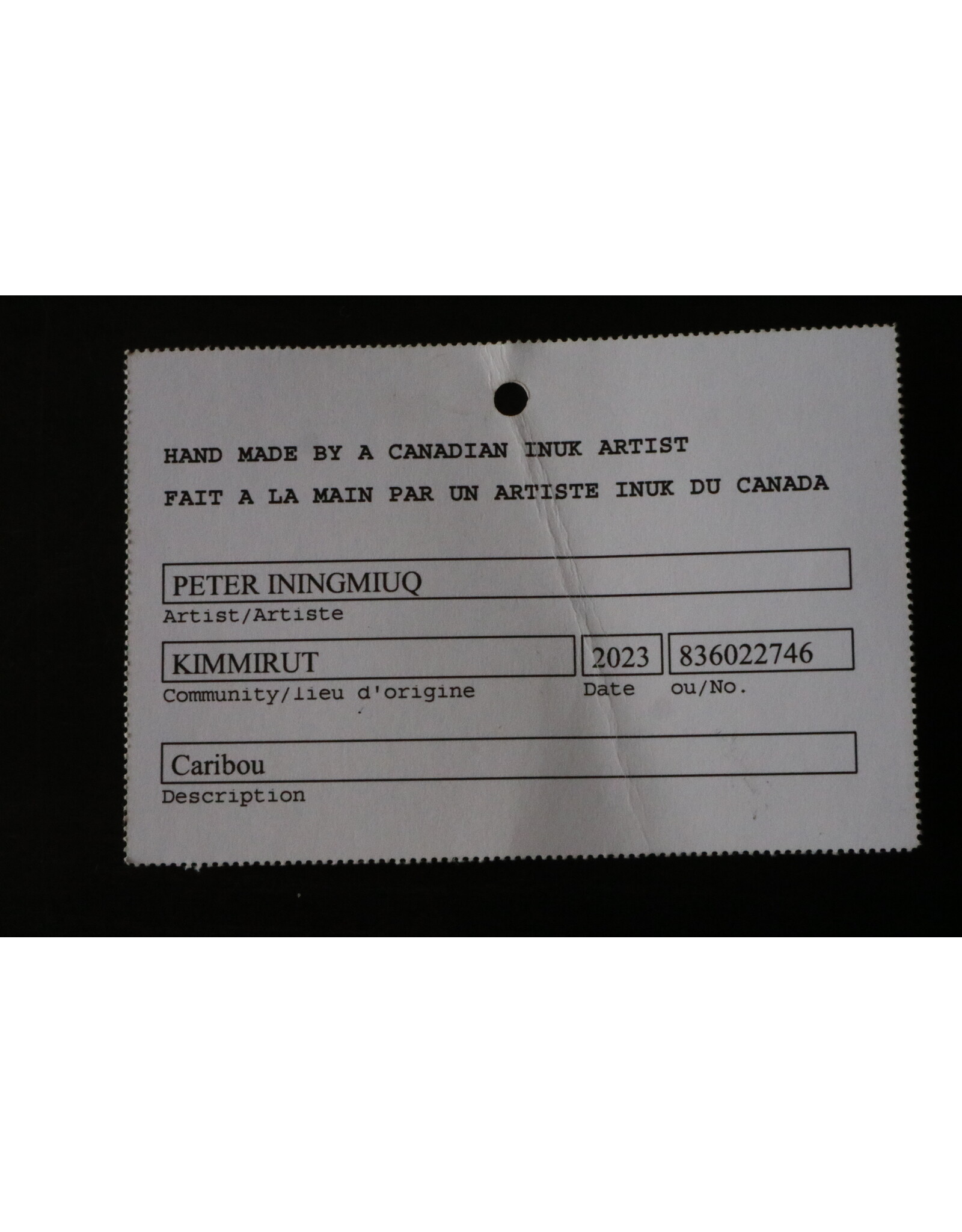 Kinngait [Cape Dorset] Caribou