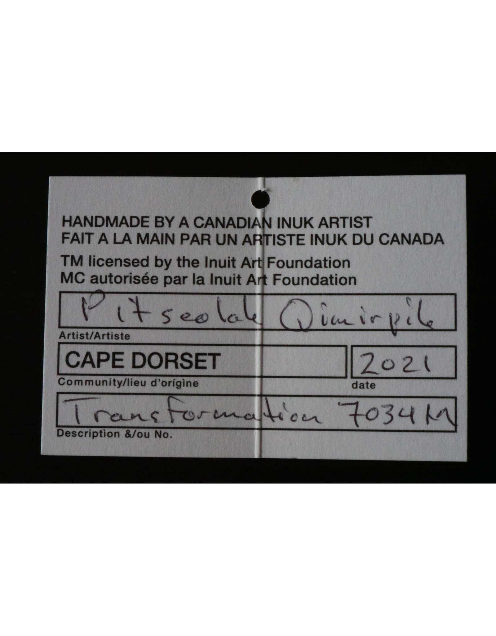 Kinngait [Cape Dorset] Transformation