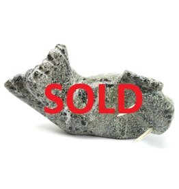 Kimmirut Grey Walrus