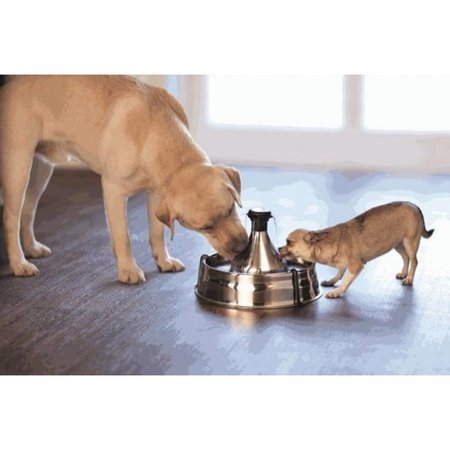 PetSafe Drinkfontein Drinkwell 360 RVS