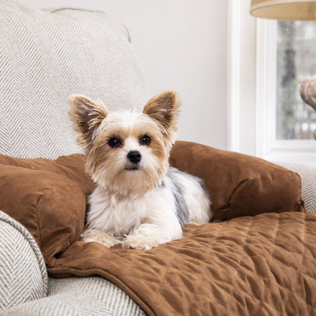 PetSafe Beschermkussen voor de stoel of bank