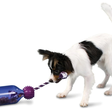 PetSafe Busy Buddy Tug a Jug