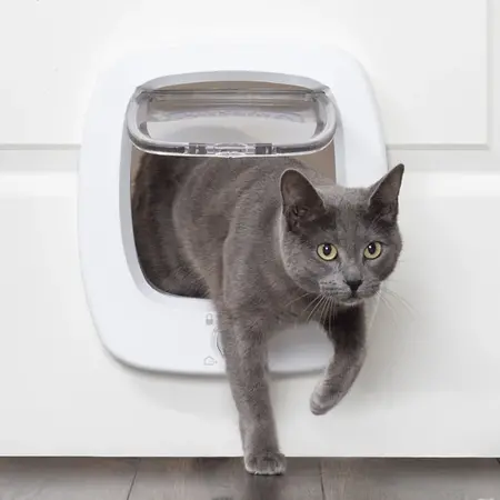PetSafe Big Cat Flap, huisdierluik voor grote katten en kleine honden