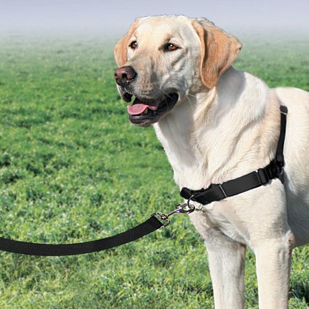 PetSafe Easy Walk Anti-Trektuig Zwart Maat M