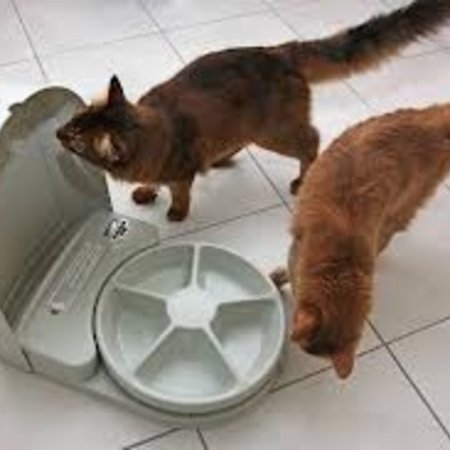 PetSafe 5 maaltijden voerbak voor huisdieren