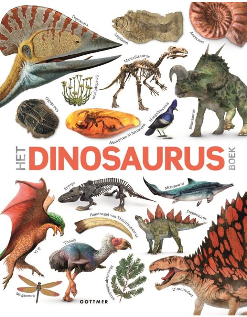 Gottmer Het Dinosaurusboek