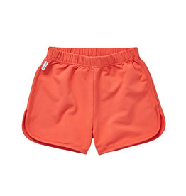 Mingo High Shorts Coral