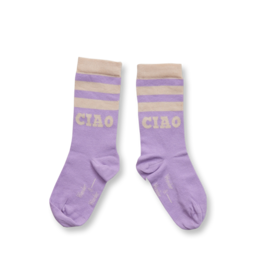 Wander & Wonder Stripe Socks Lavender