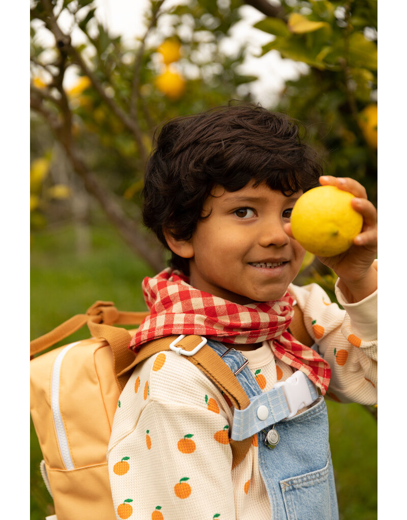 Sticky Lemon Backpack Small Farmhouse Envelope Pear Jam