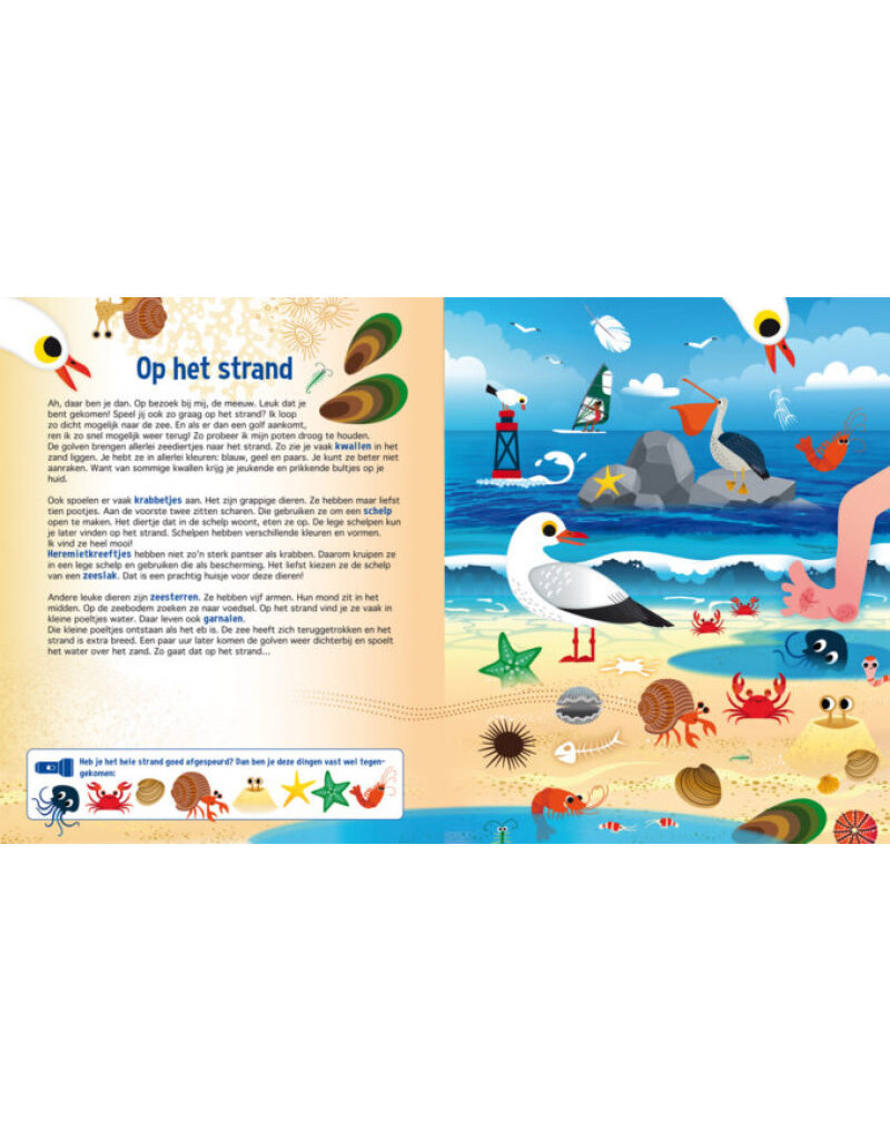 Boeken Zaklampboek - Speuren in de dierenwereld