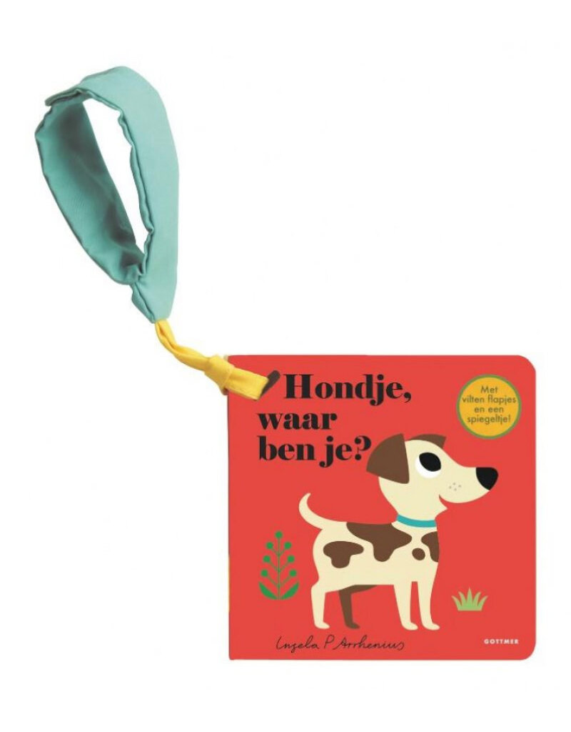 Gottmer Hondje, waar ben je? (buggyboekje)