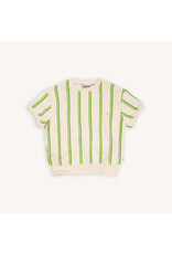 CarlijnQ Stripes Green - Sweater Short Sleeve