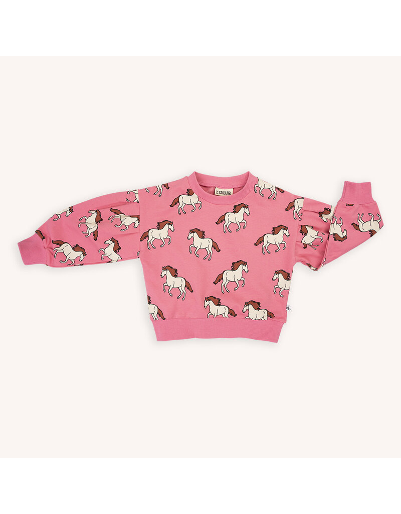 CarlijnQ Wild Horse - Girls Sweater