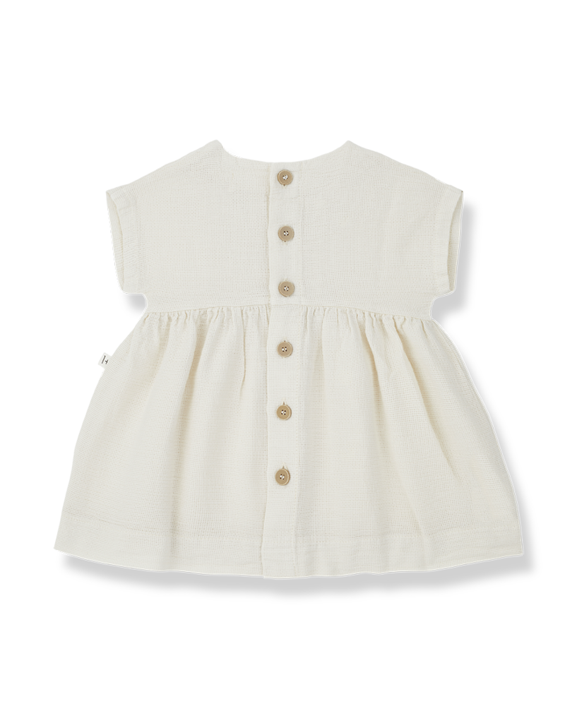 1+ in the family Xenia Dress Ivory
