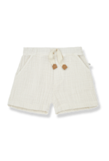 1+ in the family Gianni Shorts Ivory