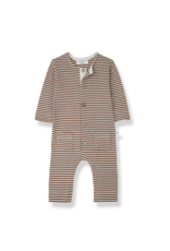 1+ in the family Renato Jumpsuit Sienna