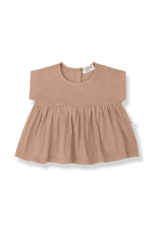 1+ in the family Alda Top Apricot