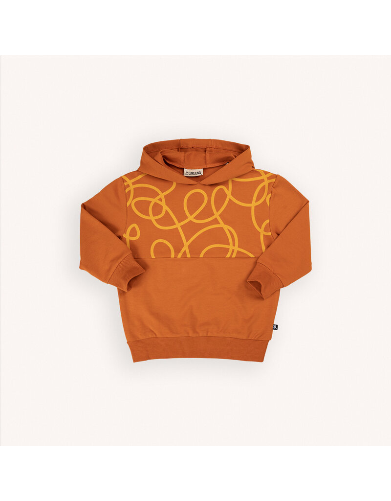 Line - Hoodie Sweater