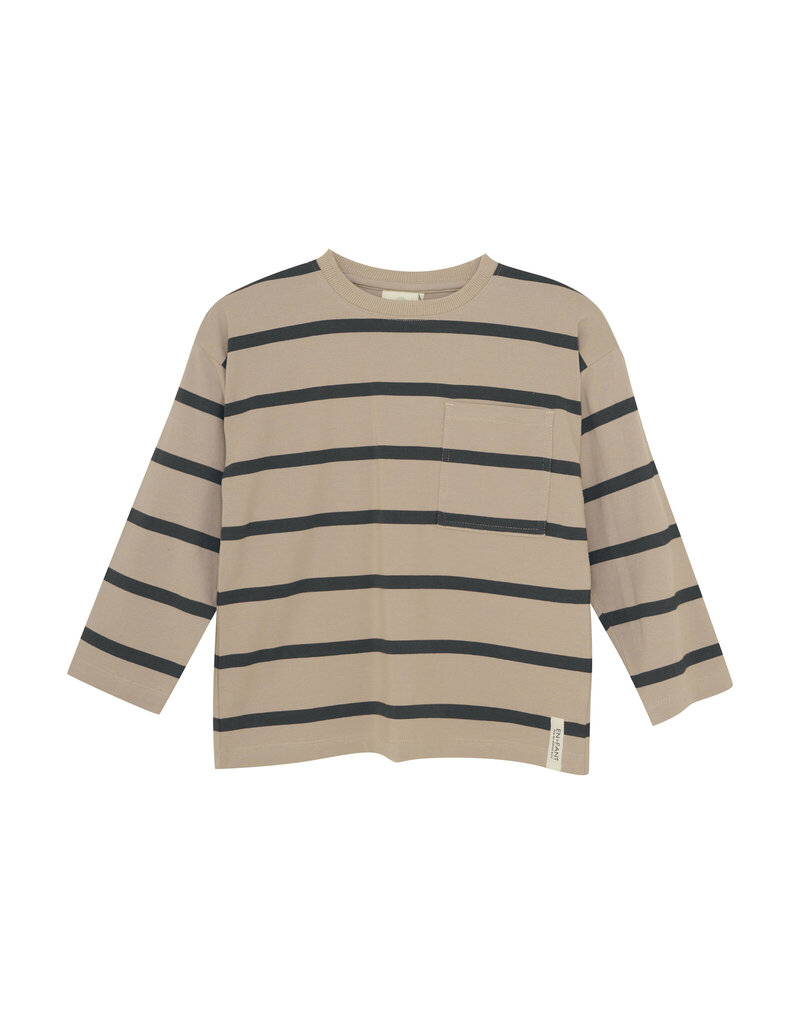 En Fant T-Shirt Longsleeve Stripe Green Gables