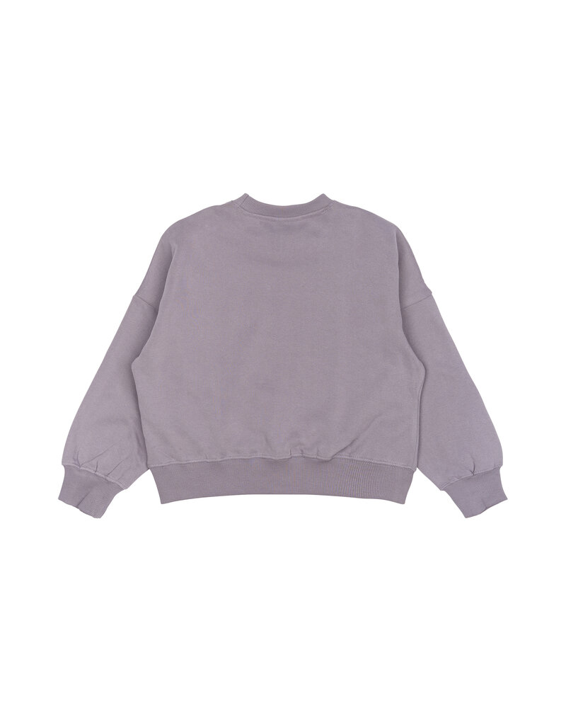 The New Precious Sweatshirt Gray Ridge