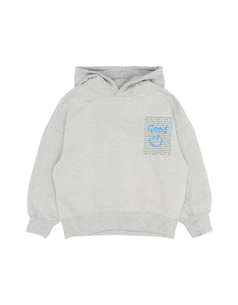 The New Patrick Hoodie Light Grey Melange