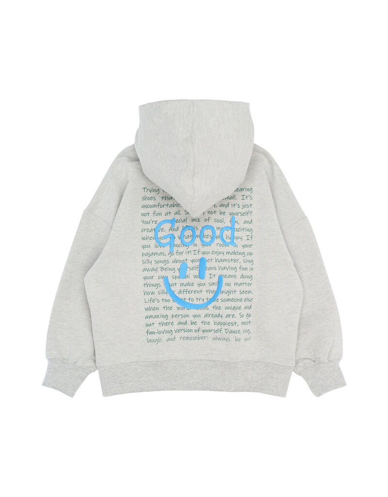 The New Patrick Hoodie Light Grey Melange