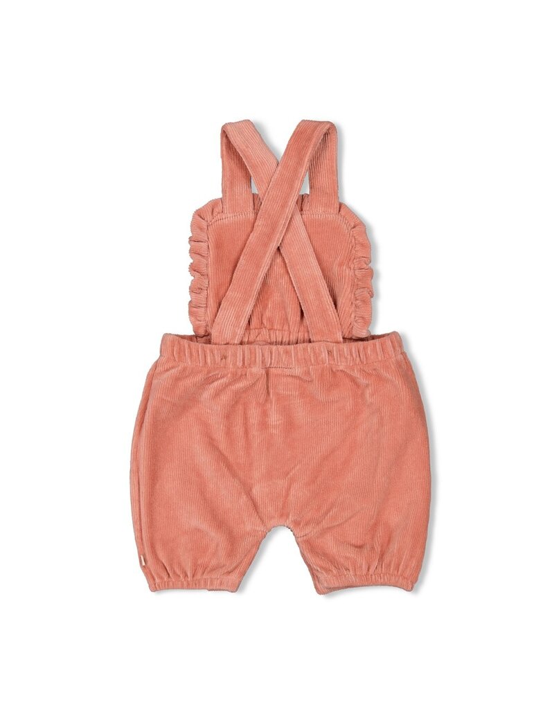 Feetje Tuinbroek kort velours rib - Woodland Bloom