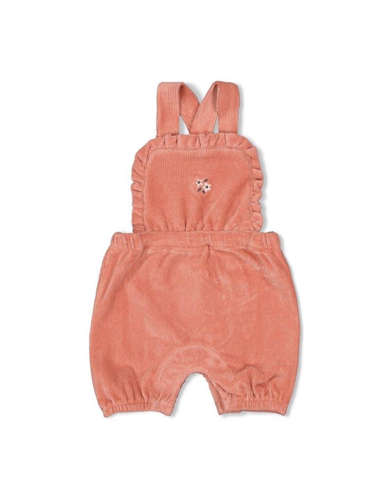 Feetje Tuinbroek kort velours rib - Woodland Bloom