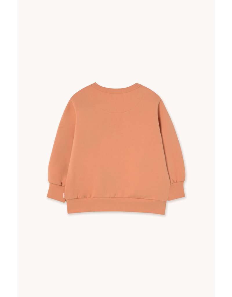 Tinycottons Flowers Eyes Graphic Sweatshirt Light Rust