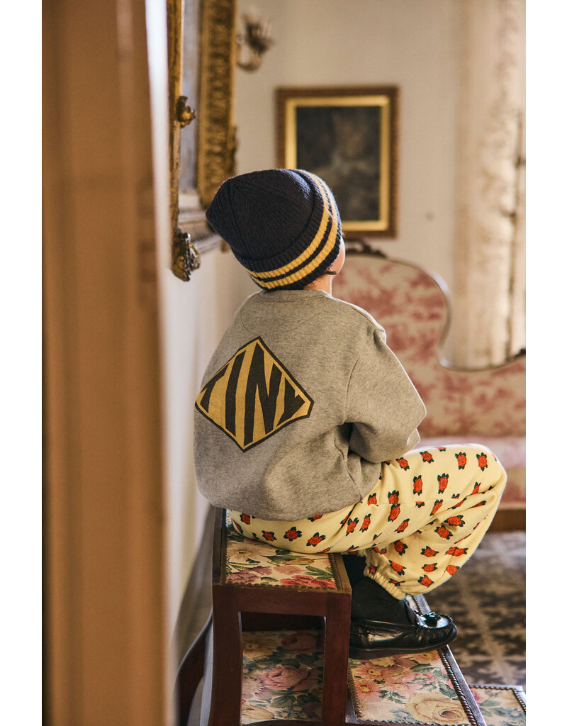 Tinycottons Diamond Tiny Graphic Sweatshirt Medium Grey Heather