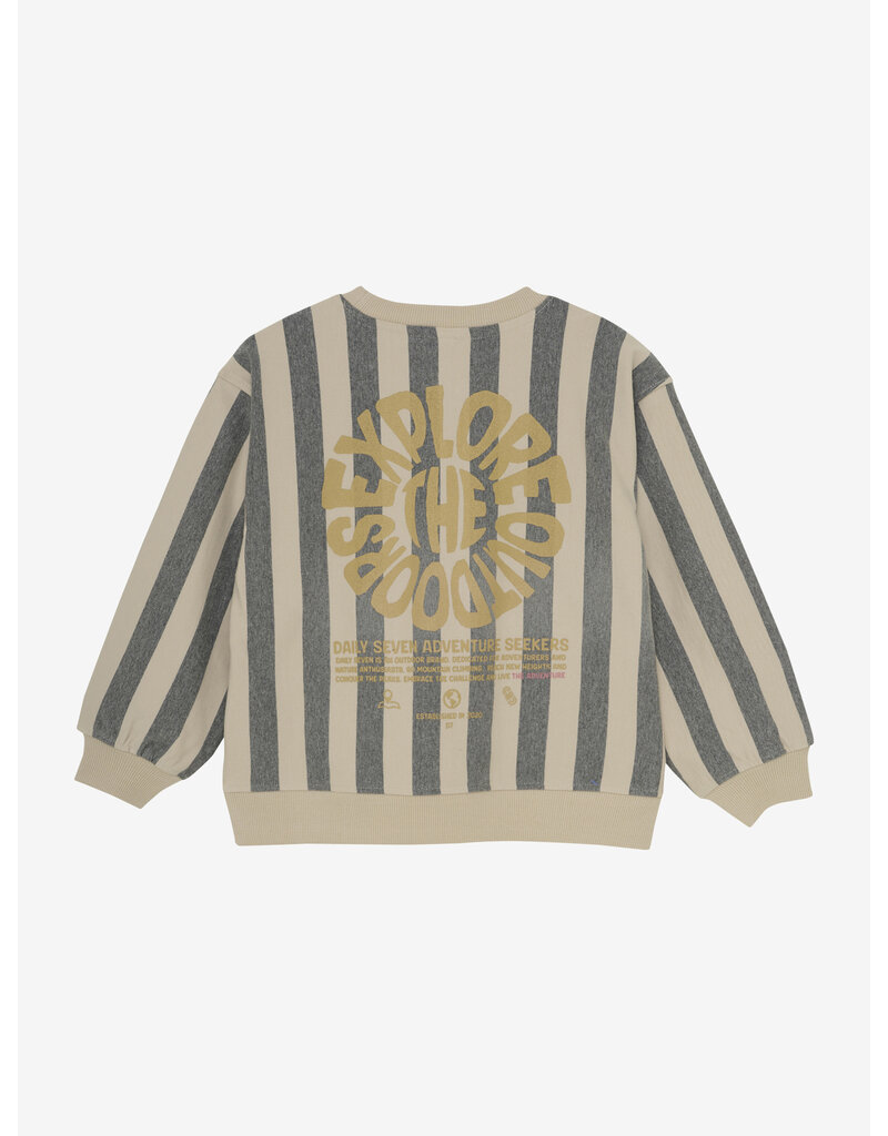 Daily Seven Oversized Sweater Stripe