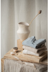 1+ in the family Chapin Top Nude