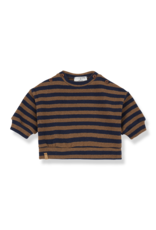 1+ in the family Dirk Top Castagna