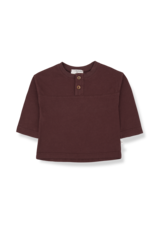 1+ in the family Jan Top Melanzana