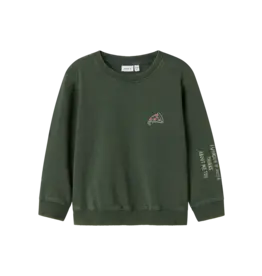 name it Nate Reg Sweater Garden Topiary