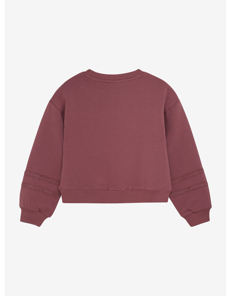 En Fant Sweatshirt LS Roan Rouge