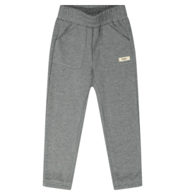 Baje Studio Mutrux Pants Grey Melange