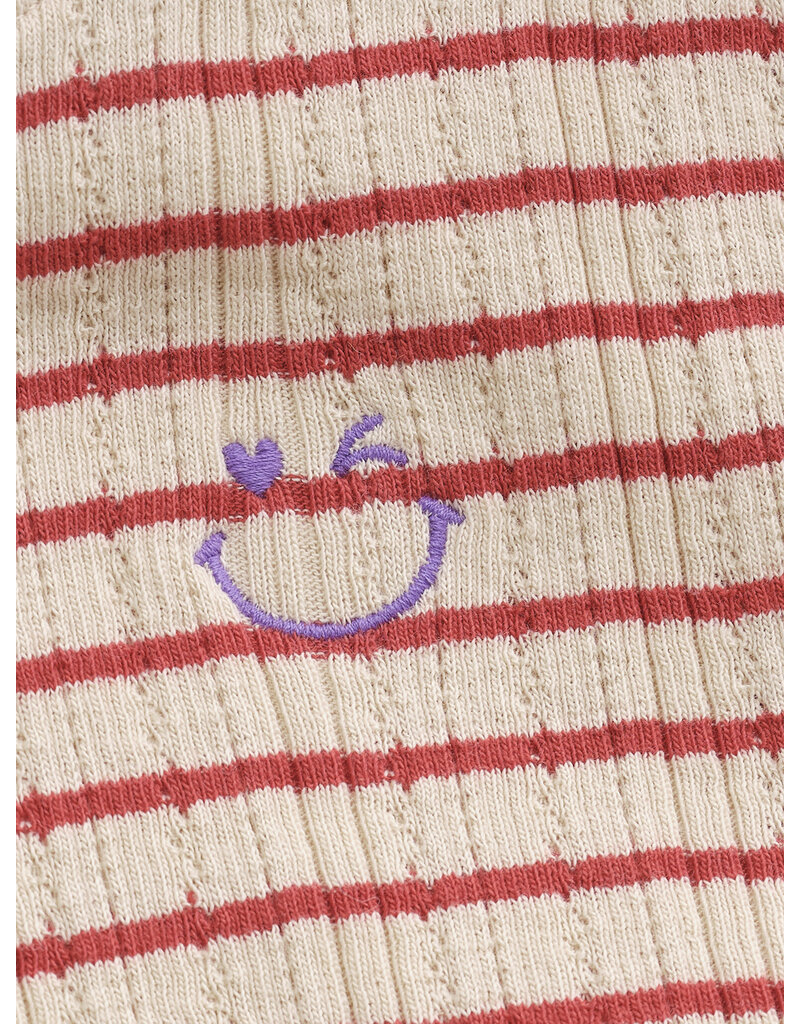 Daily Seven T-shirt Longsleeve Stripe