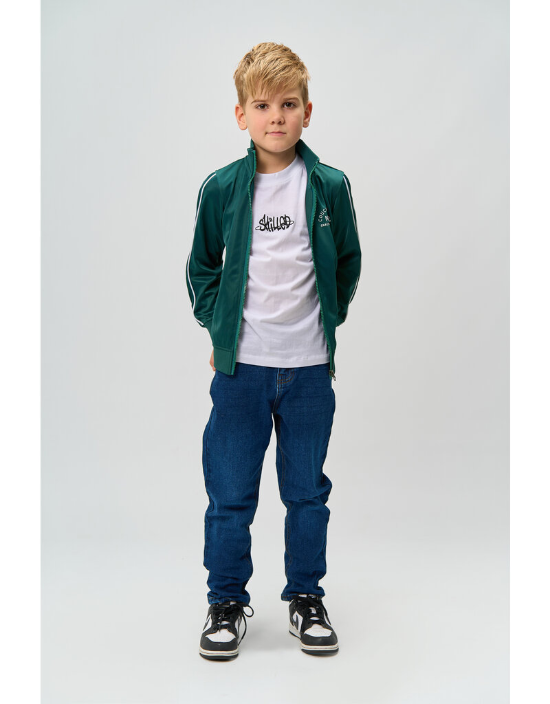 The New Ralph Zip Cardigan Dee Teal