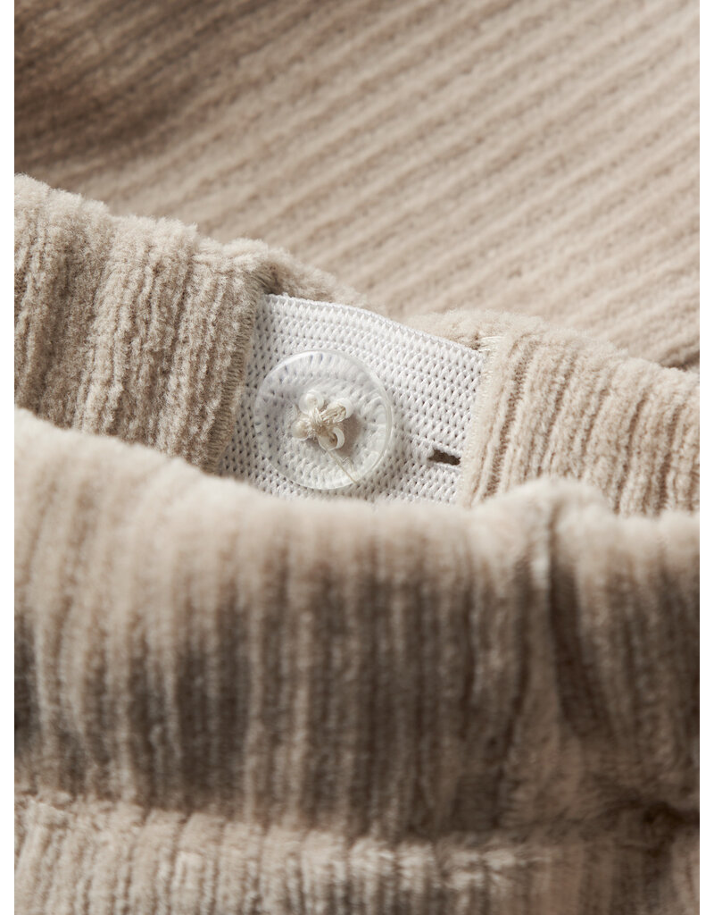 name it Ronny Pants Island Fossil