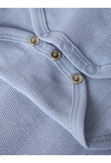 name it Robo Polo Body Kentucky blue