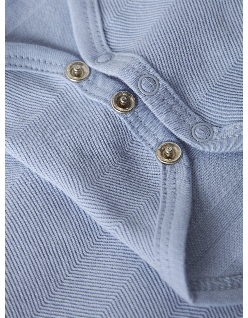 name it Robo Polo Body Kentucky blue