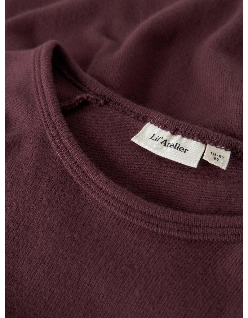 Lil' Atelier Thora Hyn Dress Catawba Grape