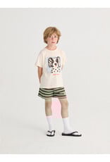 Bobo Choses Bobo Striped Shorts Green
