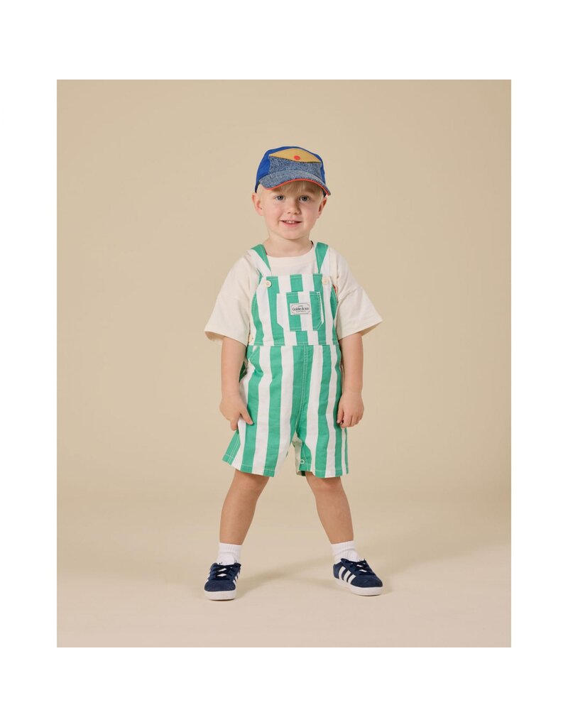 Goldie + Ace Happy Stripe Button Burton Overall