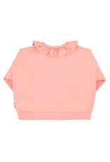 piupiuchick Sweatshirt w Collar Light Pink w Strawberry print