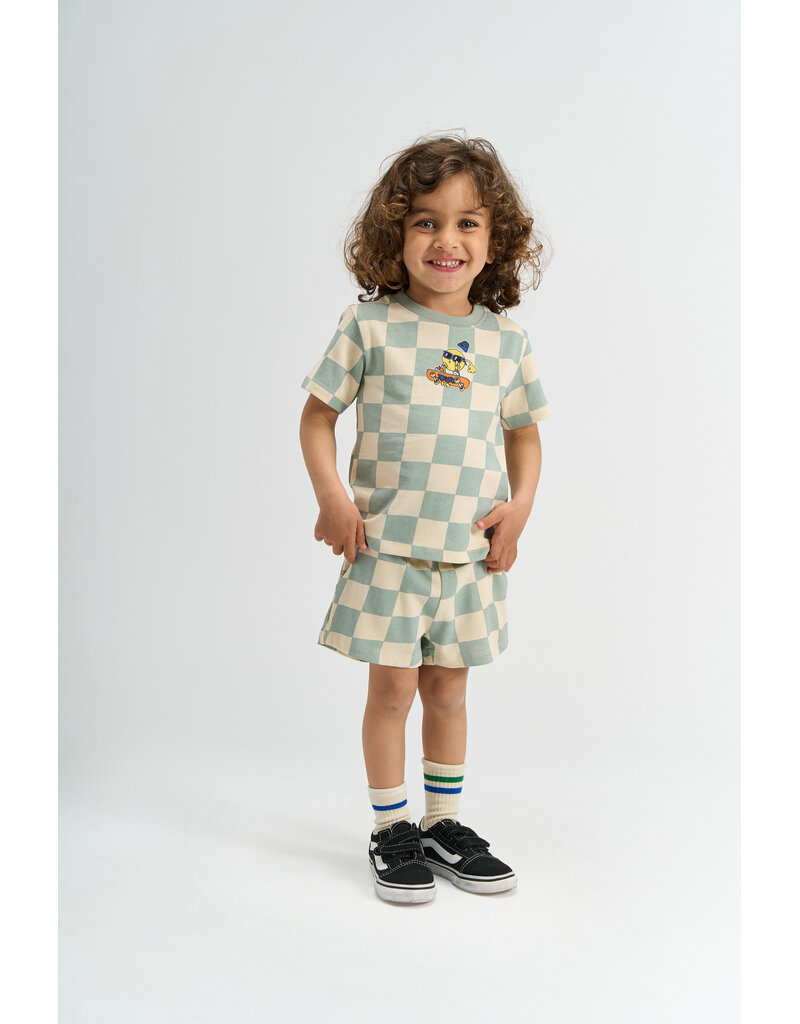 The New Sebastian Tee Aqua Gray AOP