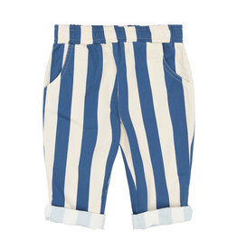 The New Silas Baggy Pants True Blue Striped