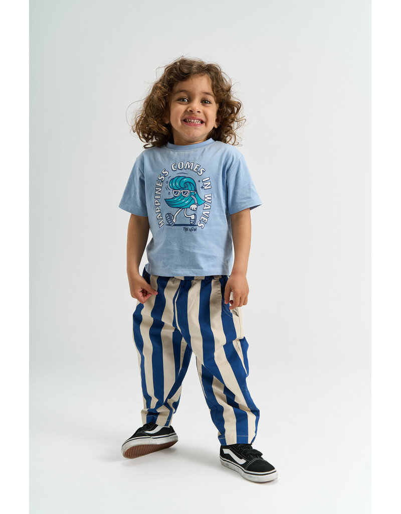 The New Silas Baggy Pants True Blue Striped