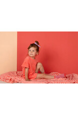 Nixnut Fix Short Coral